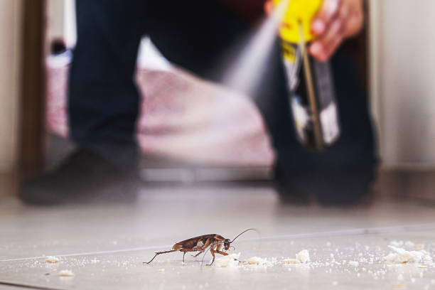 Wildlife Control Services in Gate City, VA